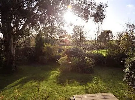 Dorset Farm Boyton